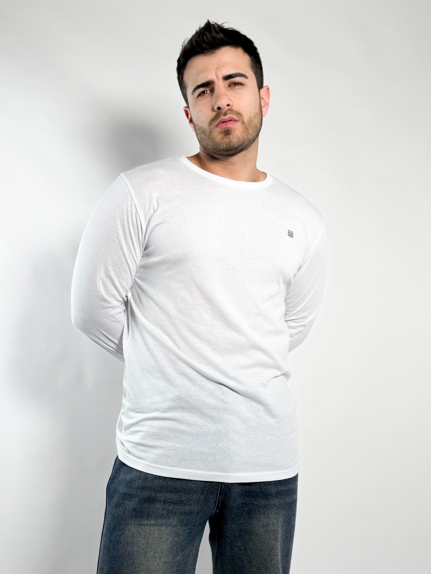 Remera lisa manga larga Barton