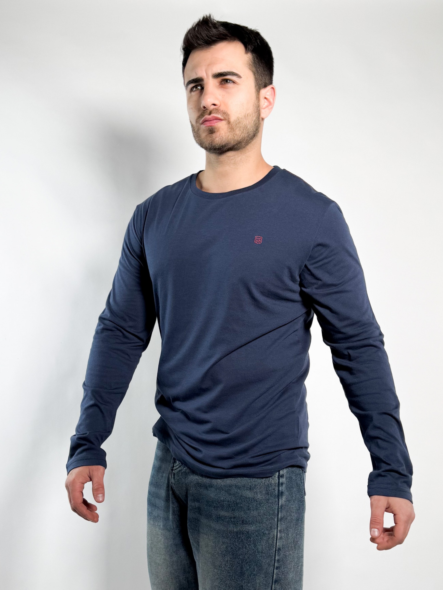 Remera lisa manga larga Barton