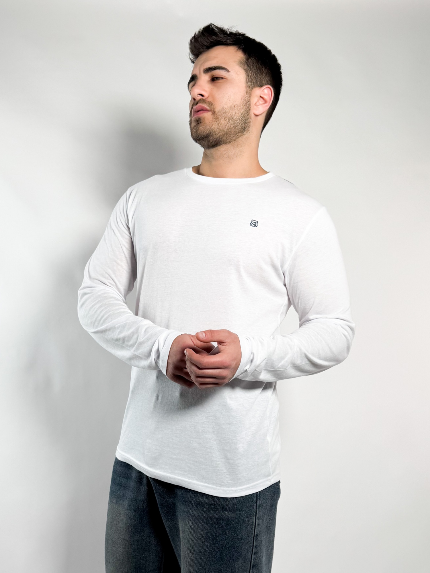 Remera lisa manga larga Barton