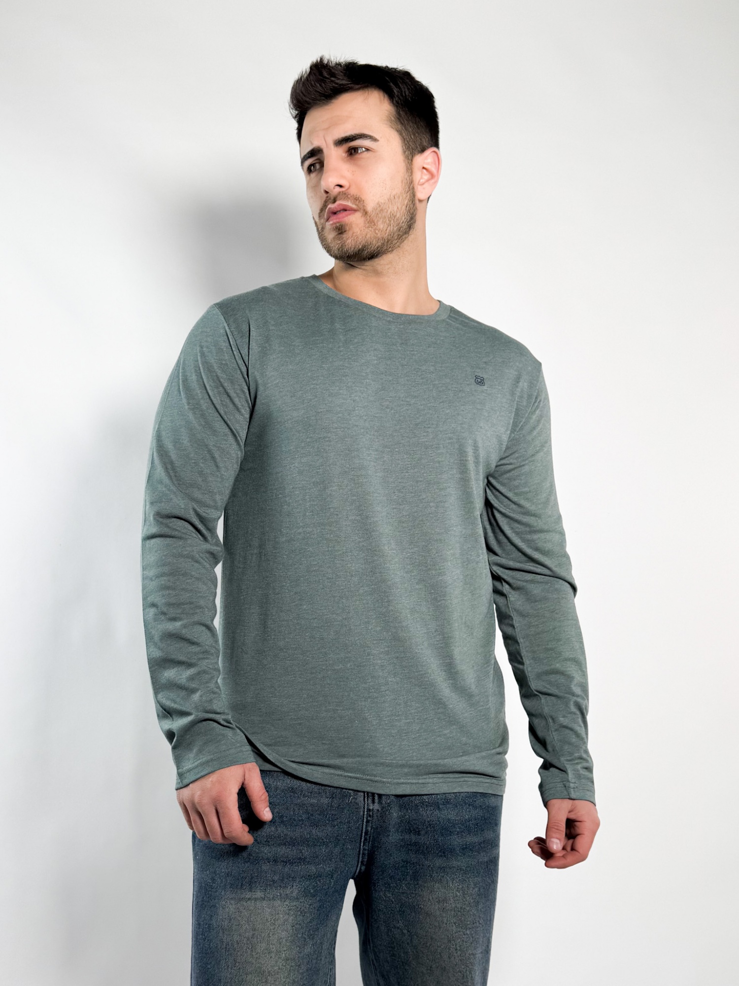 Remera lisa manga larga Barton