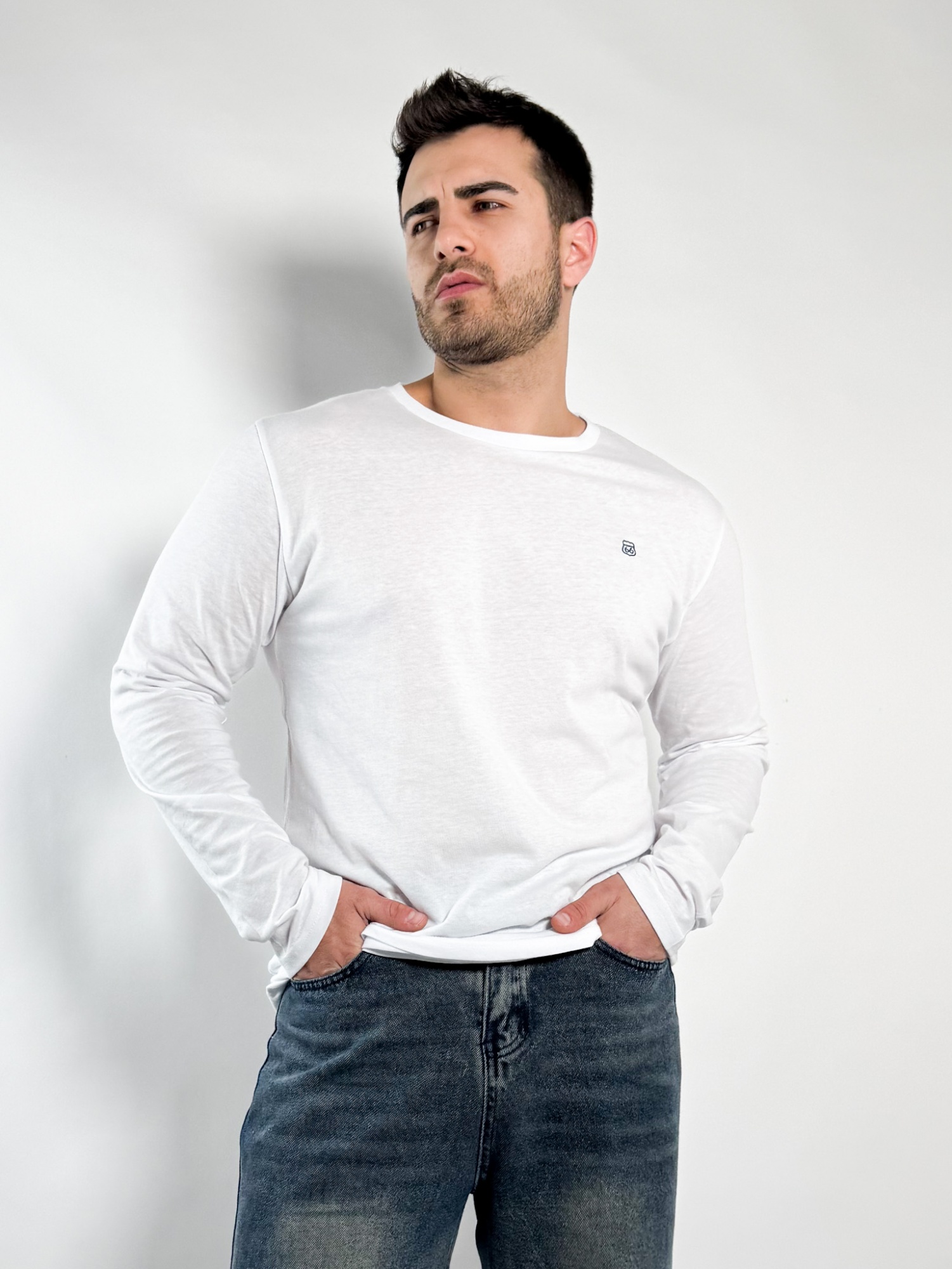 Remera lisa manga larga Barton