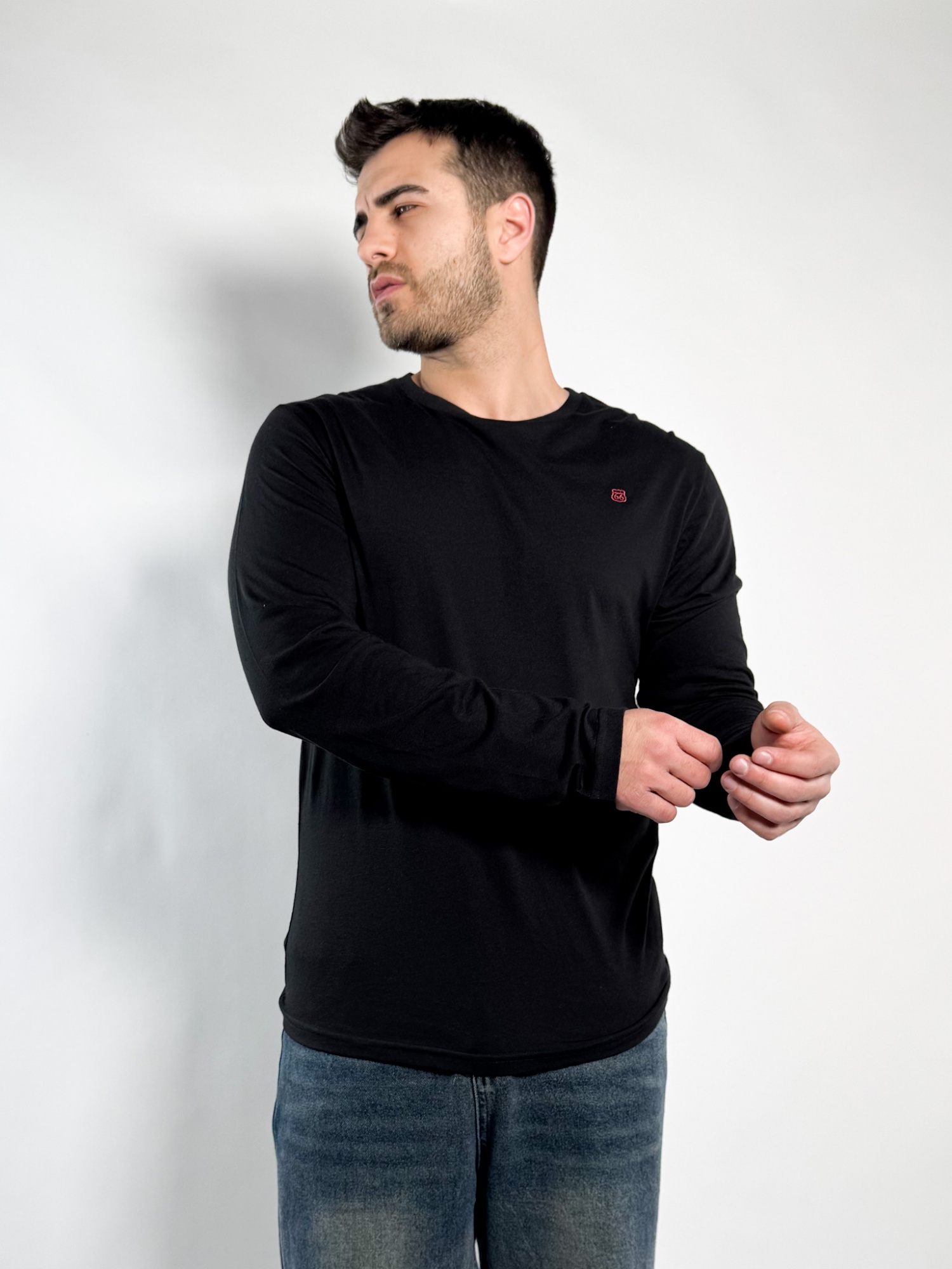 Remera lisa manga larga Barton