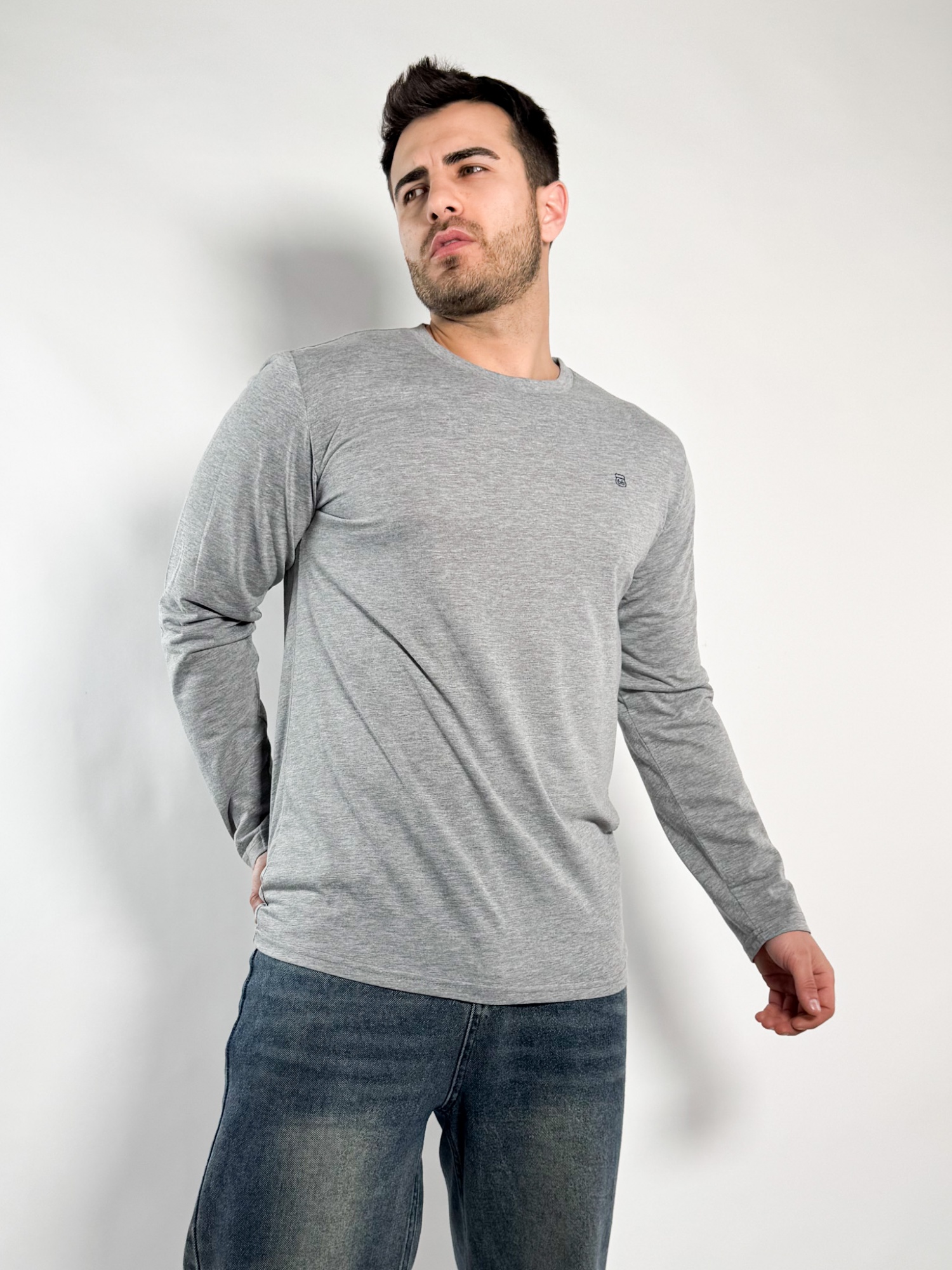 Remera lisa manga larga Barton