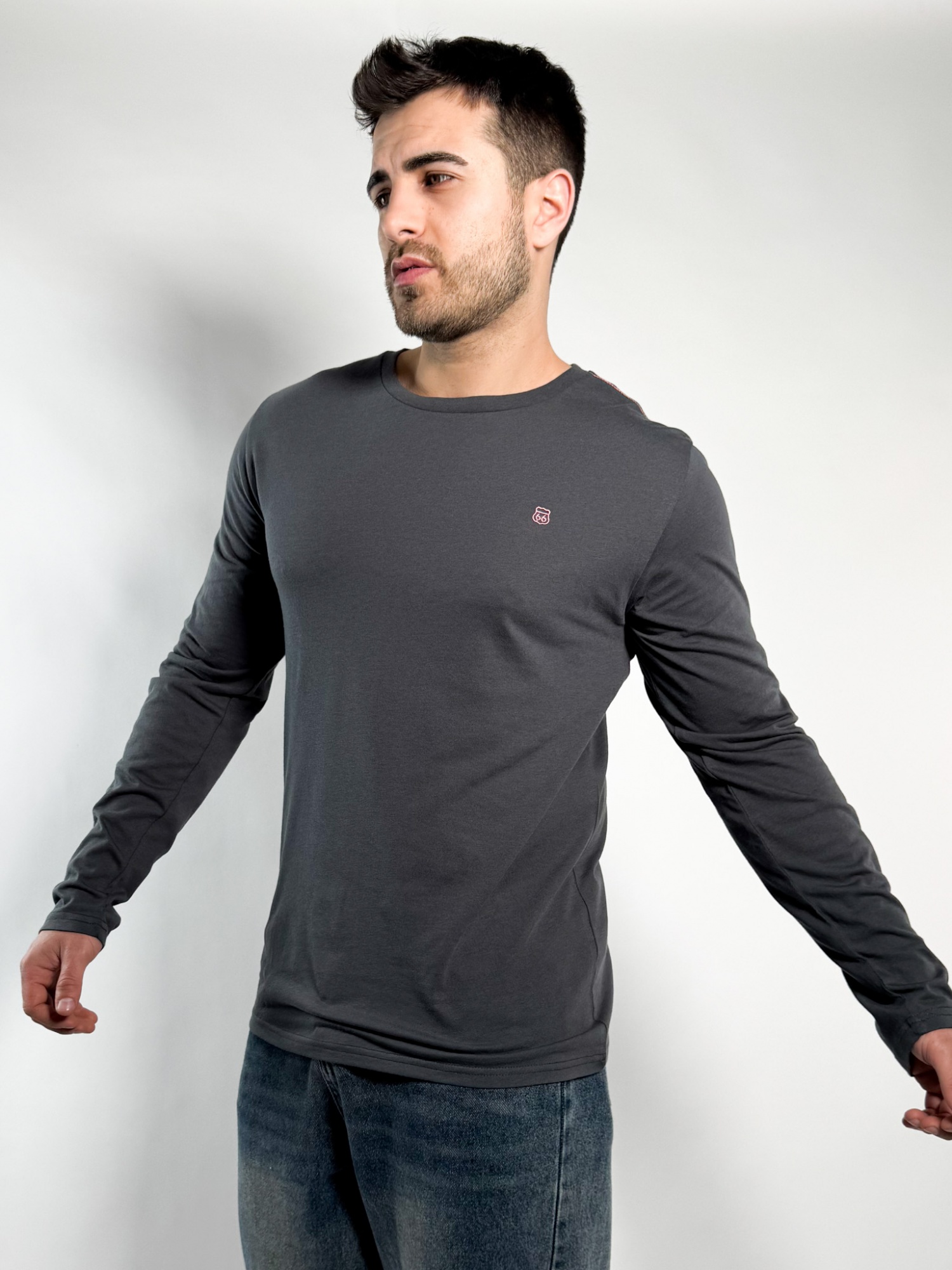 Remera lisa manga larga Barton