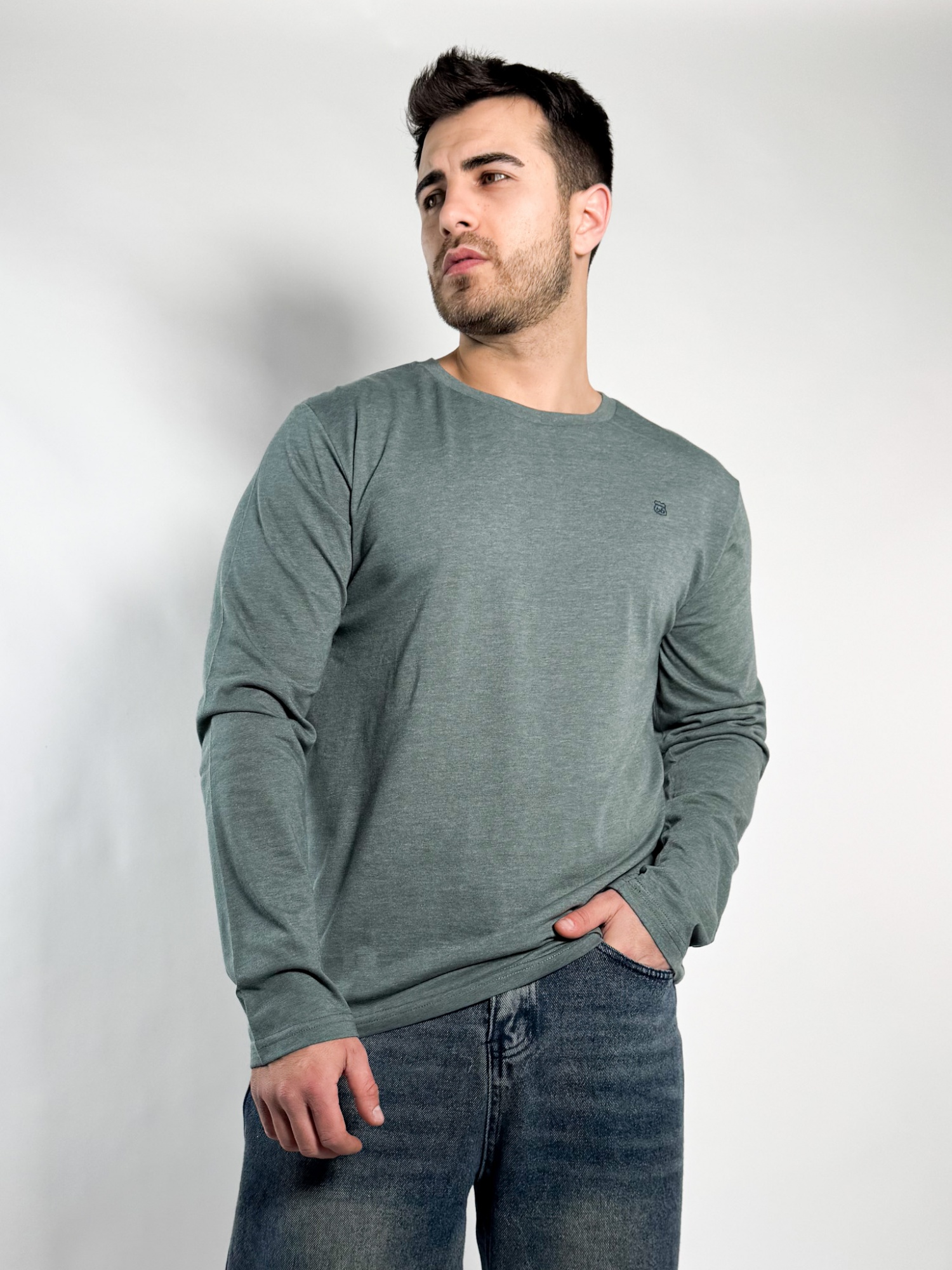 Remera lisa manga larga Barton