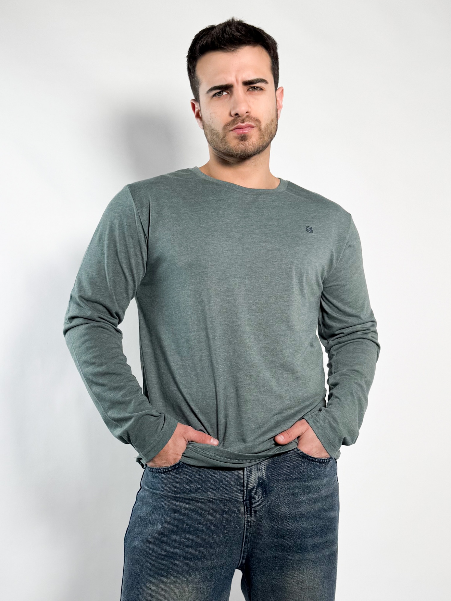 Remera lisa manga larga Barton