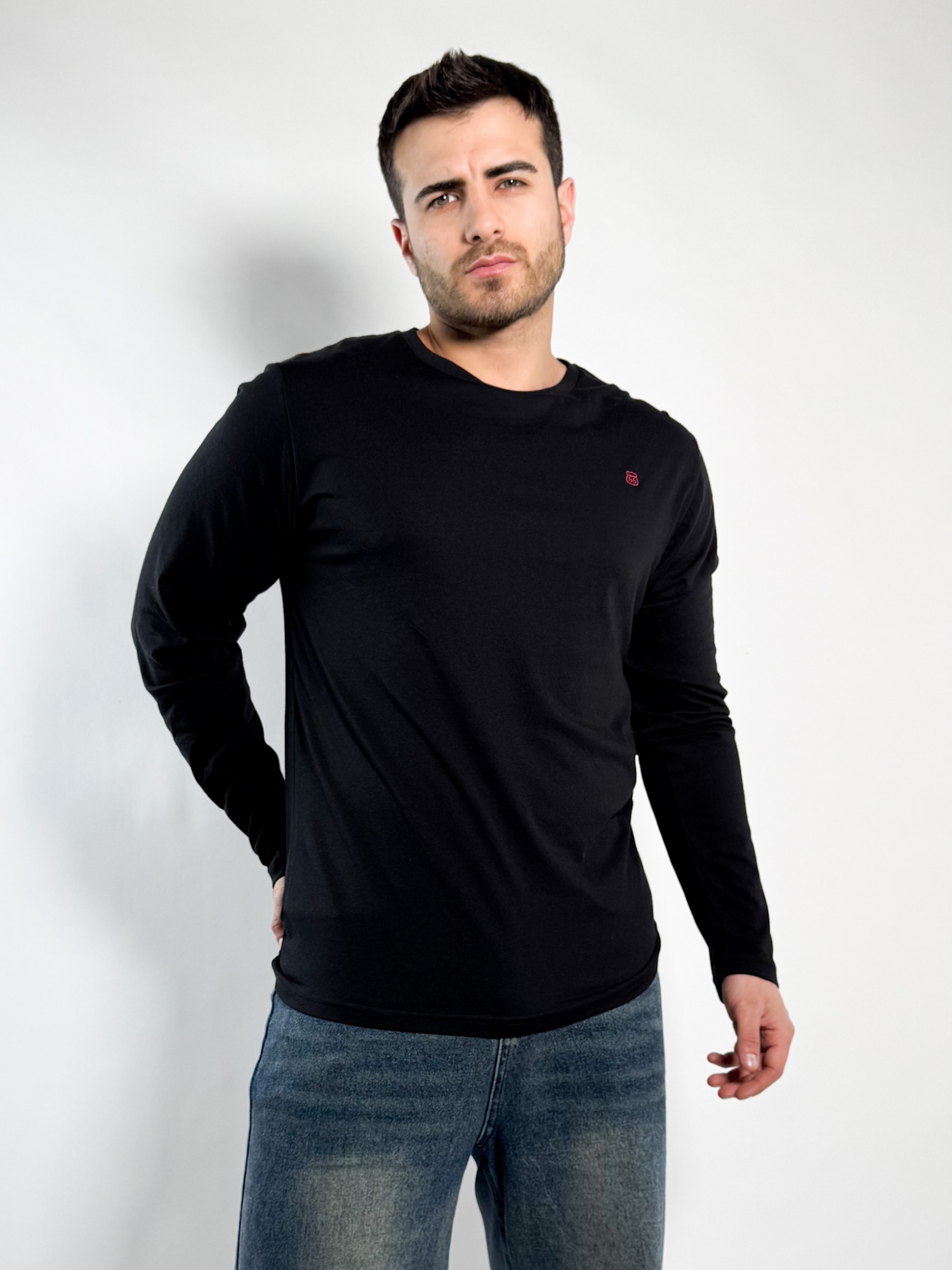 Remera lisa manga larga Barton