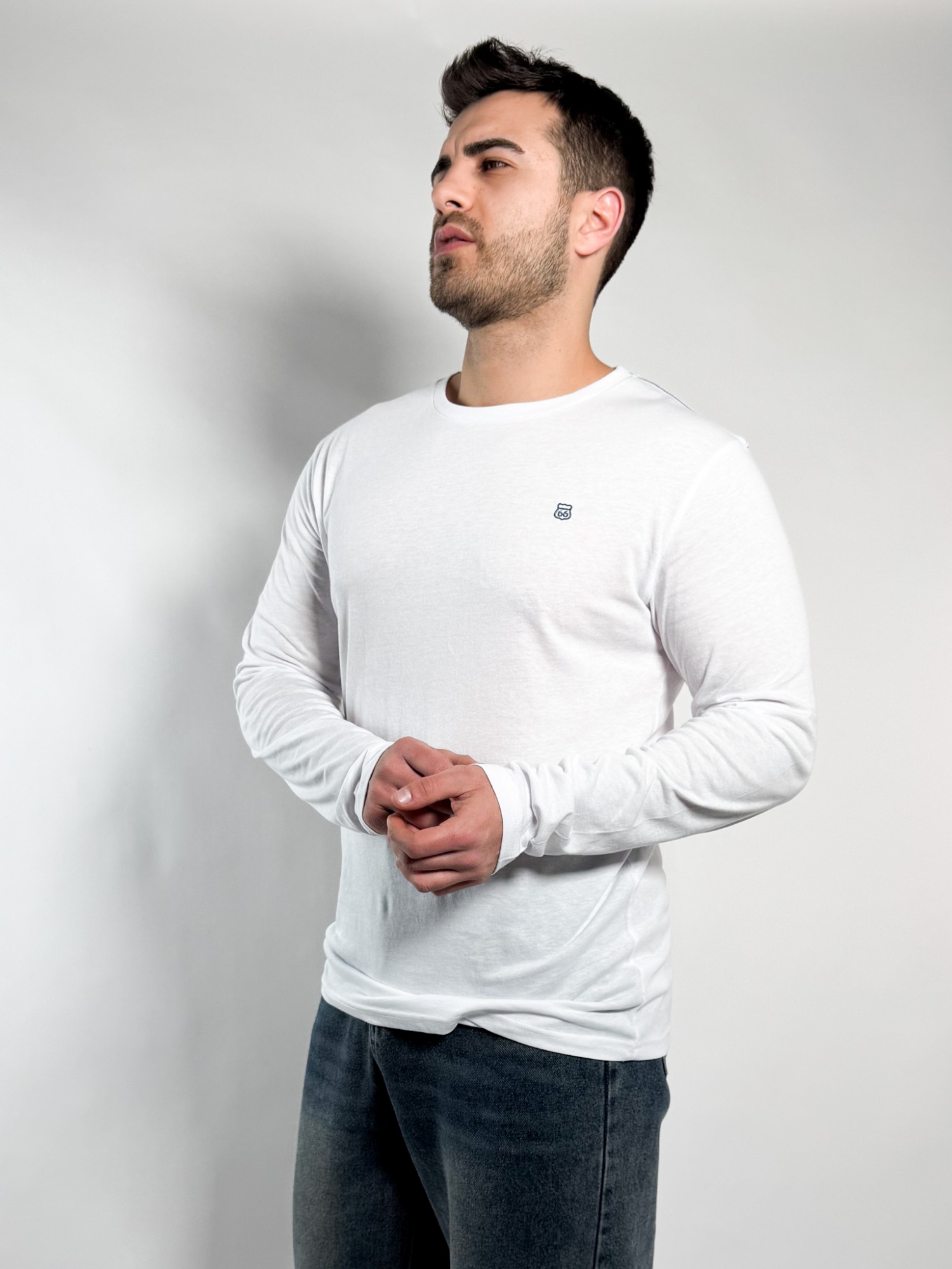 Remera lisa manga larga Barton