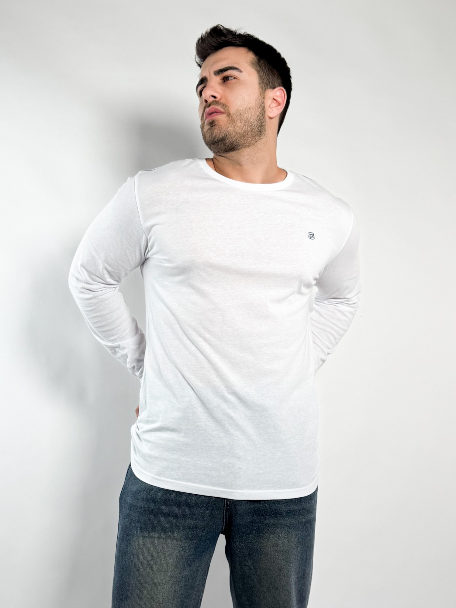 Remera lisa manga larga Barton