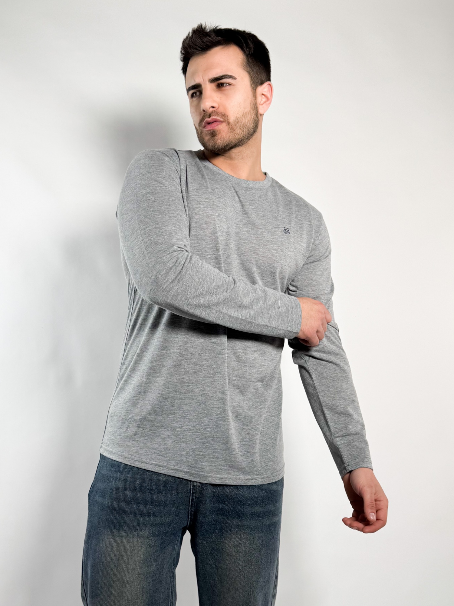 Remera lisa manga larga Barton